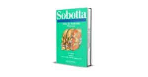 Atlas de Anatomía Humana - Netter, 7ma Edición | Medicine ...