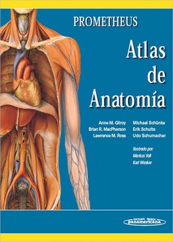 prometheus atlas de anatomia humana